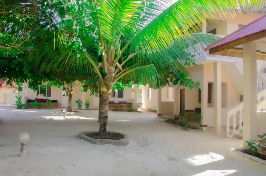 Summer Dream Lodge Paje Exterior photo